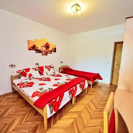 Dajak-1 By Interhome * אומיס