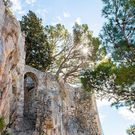 Dajak-1 By Interhome * אומיס