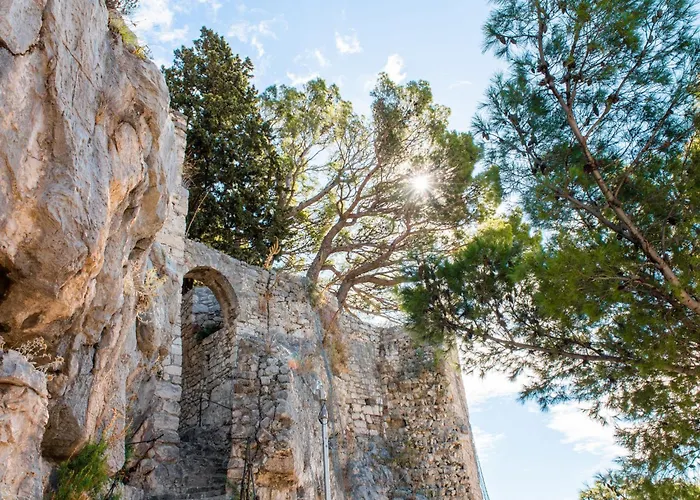 Dajak-1 By Interhome * 奥米什